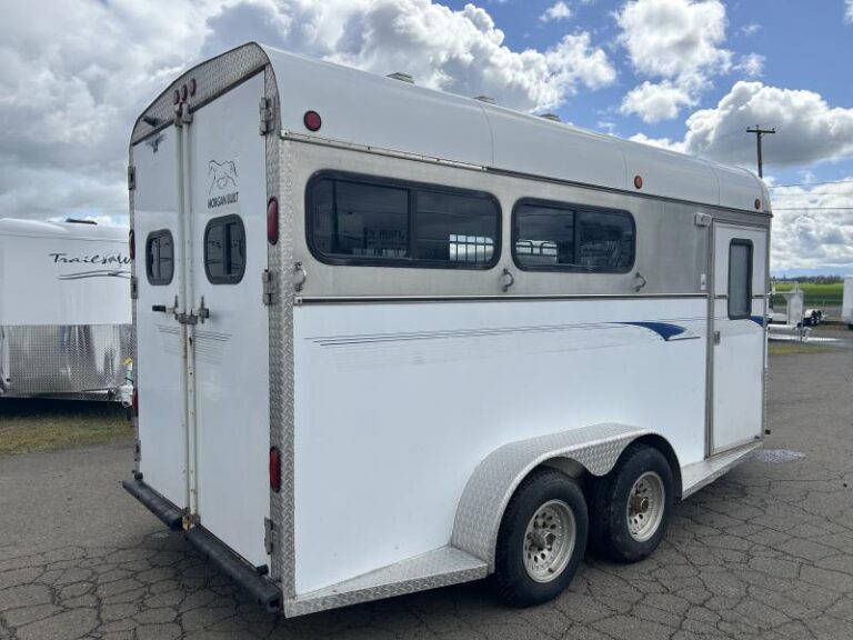 2000 Morgan Built 3 Horse Bumper Pull Horse Trailer - Image 17