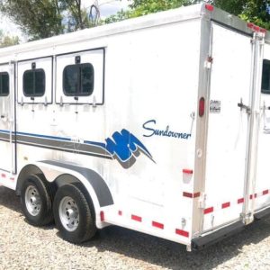 1999 Elite Custom 3 Horse Trailer