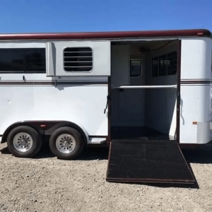 2007 Hawk 2 Horse Bumper Pull Side Ramp